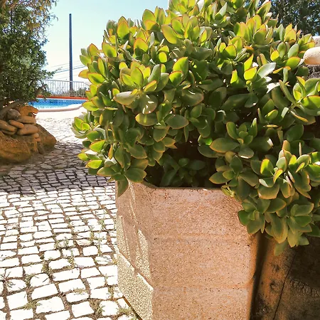 ホリデーパーク Quinta Dos Caracois ラゴス