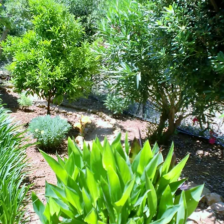 Ferienpark Quinta Dos Caracois