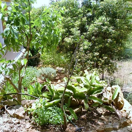 Quinta Dos Caracois Holiday park Lagos