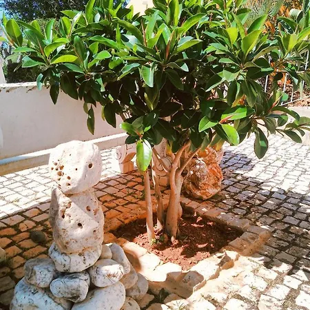 Quinta Dos Caracois
