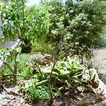 Quinta Dos Caracois